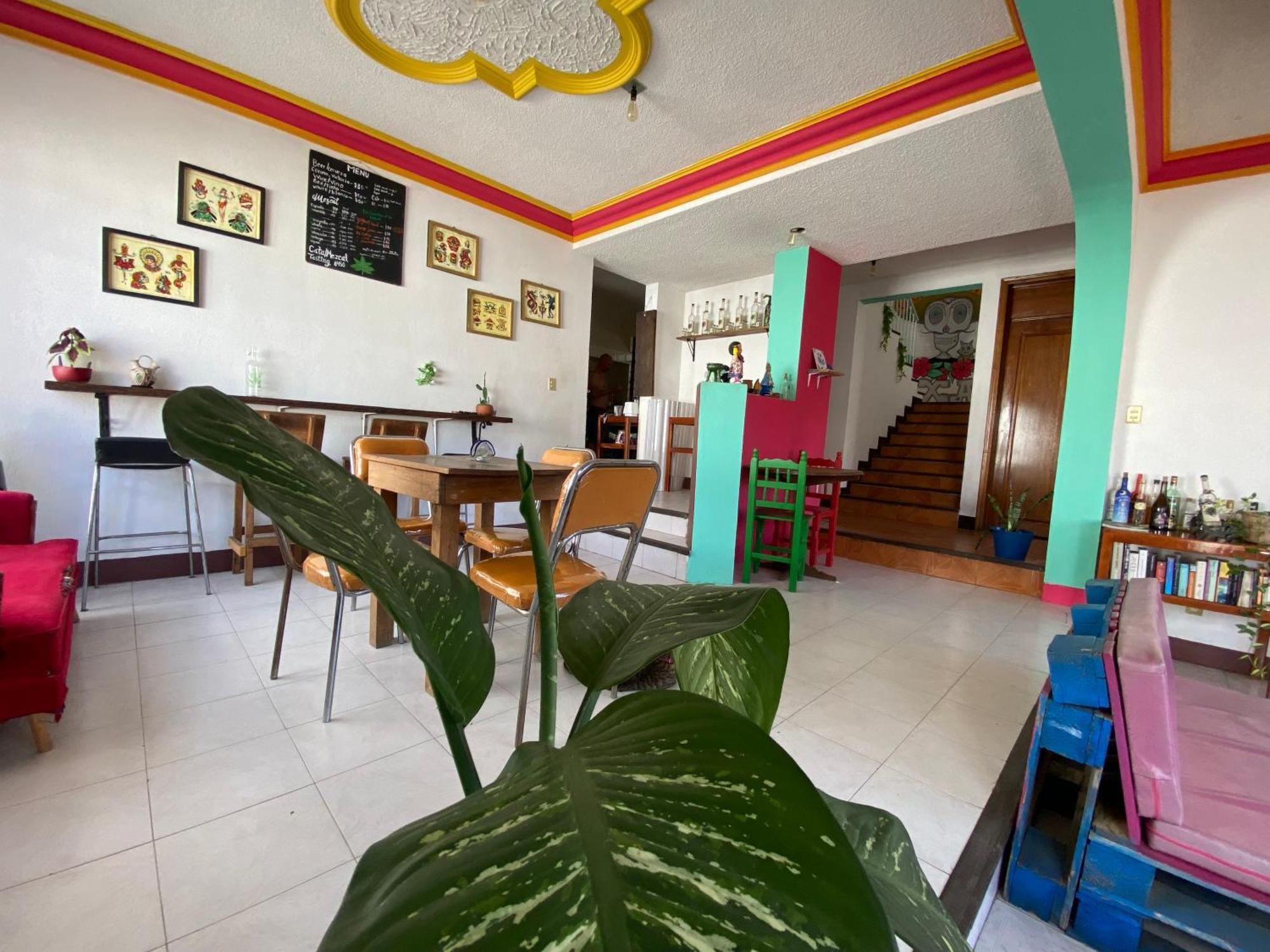 Casa El Mundo Vandrarhem Oaxaca Exteriör bild